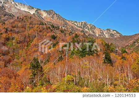立山黑部阿爾卑斯山路線黑部平的紅葉 立山黑部阿爾卑斯山路線黑部平的紅葉 120134553