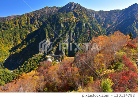 立山黑部阿爾卑斯山路線黑部平的紅葉 120134798
