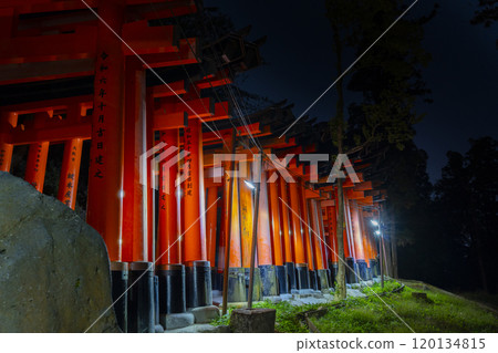 伏見稻荷大社千本鳥居的夜晚 120134815