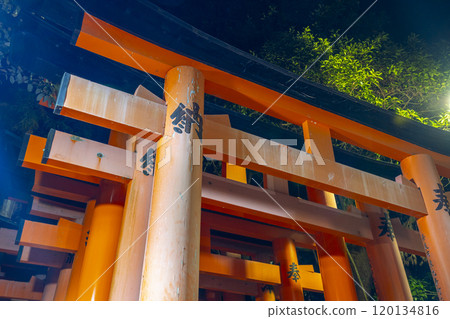 伏見稻荷大社千本鳥居的夜晚 120134816