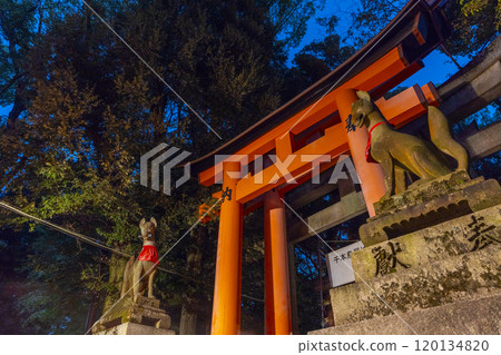 伏見稻荷大社千本鳥居的夜晚 120134820