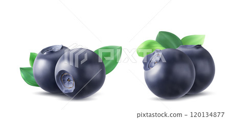 Blueberries set isolated on white background Blueberries set isolated on white background 120134877