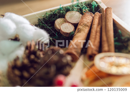 Winter natural decoration materials 120135009