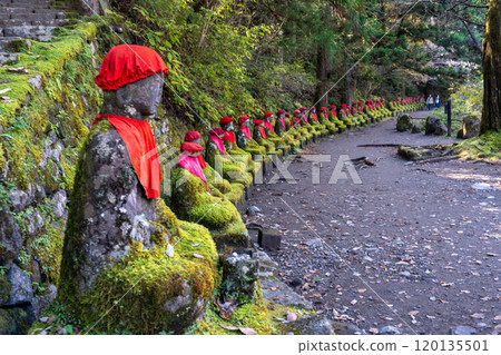 A stroll through the tranquil Kanmangafuchi in late autumn in Ura-Nikko 120135501
