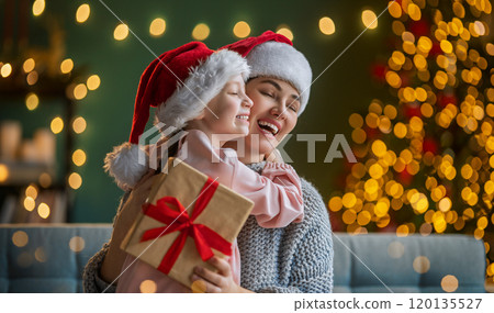 family celebrating Christmas 120135527