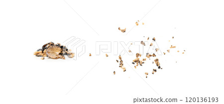 Truffle Slices Isolated, Tuber Melanosporum Mushroom Pieces in Oil, Canned Black Truffle 120136193