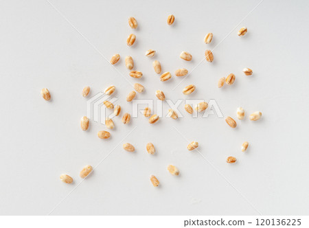 Wheat Grains, Barley Pile, Dry Cereal Seeds, Wheat Grains Heap on White 120136225