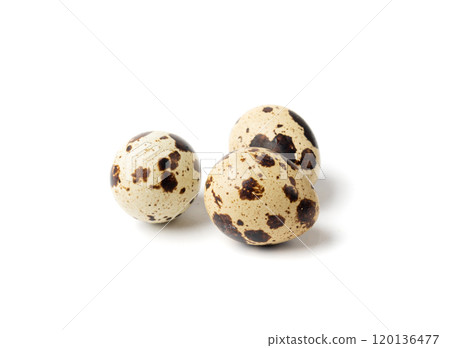 Quail Eggs, Diet Egg, Healthy Breakfast, Natural Organic Nutrition, Salad Ingredient Spotted Quail Egg 120136477