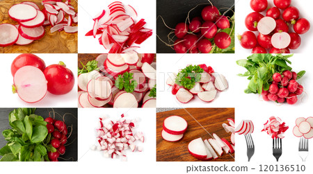 Radis mix, red radish root collage, cuts, diced red radishes closeup, sliced fresh radis root bundle 120136510