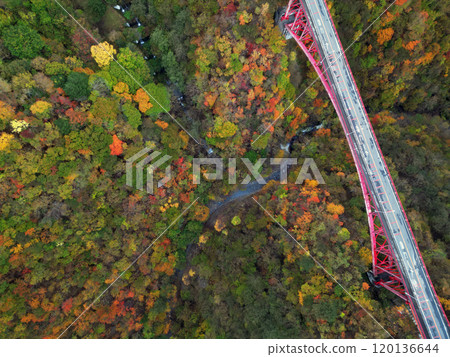豆燒橋鳥瞰圖 120136644