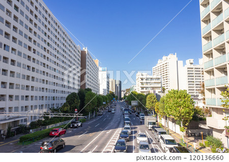 Hiroo, Gaien Nishi Street cityscape 120136660