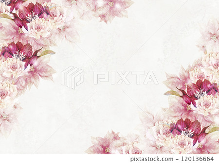 聖誕框架一品紅和聖誕玫瑰 聖誕框架一品紅和聖誕玫瑰 120136664