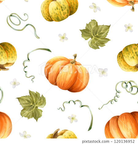 Ripe pumpkins watercolor seamless pattern on white in orange and yellow colors with green leaves and tiny flowers. Hand drawn autumn harvest background for Thanksgiving day greeting designs Ripe pumpkins watercolor seamless pattern on white in orange and yellow colors with green leaves and tiny flowers. Hand drawn autumn harvest background for Thanksgiving day greeting designs 120136952