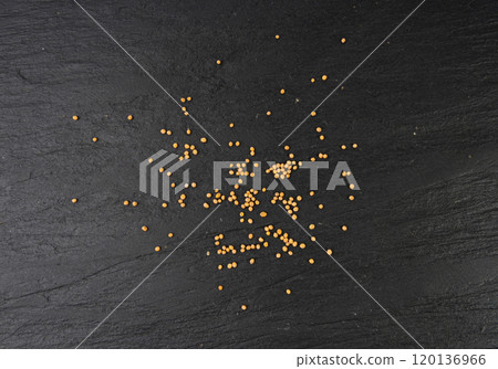Mustard seeds isolated, dry yellow sinapis alba grains, mostarde balls on white background 120136966