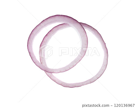 Fresh sliced red onion isolated. Raw purple onion rings set or shallot slices collection top view 120136967
