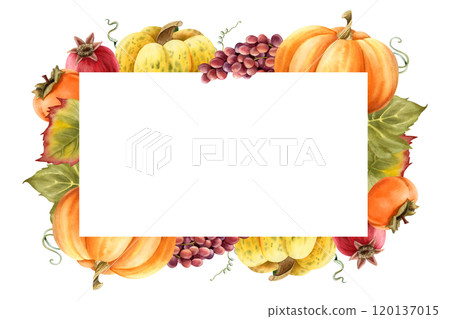 Ripe pumpkins harvest horizontal frame watercolor template for organic autumn food designs. Farm garden vegetables and fruits isolated illustration with copy space. Fall Thanksgiving label design Ripe pumpkins harvest horizontal frame watercolor template for organic autumn food designs. Farm garden vegetables and fruits isolated illustration with copy space. Fall Thanksgiving label design 120137015