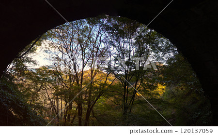 隧道的景色 隧道的景色 120137059