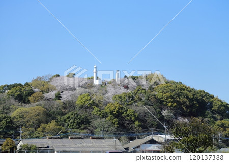 View from the rose garden in Arao City, 120137388