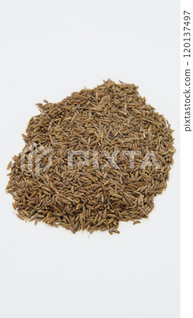 Cumin seed 120137497