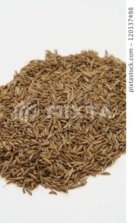 Cumin seed 120137498