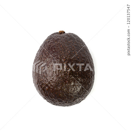 Hass Avocado Isolated, Whole Sharwil Brown Avocados Pile, Fresh Alligator Pear, Persea Americana 120137547