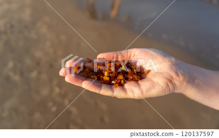 Amber stones on sea coast. Amber gems search on Baltic sea shore, fossilized tree resin crystals on sand 120137597