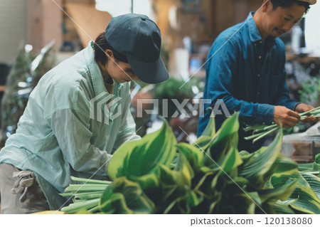 Shipping of Hosta Leaf Shipping of Hosta Leaf 120138080