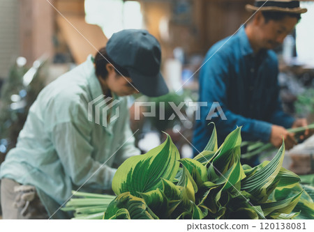 Shipping of Hosta Leaf Shipping of Hosta Leaf 120138081
