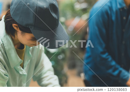 Shipping of Hosta Leaf 120138083