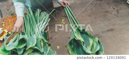 Shipping of Hosta Leaf 120138091