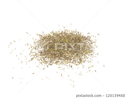 Dry thyme isolated, dried marjoram, oregano pile, ground crushed thyme seasoning, thyme leaves 120139488