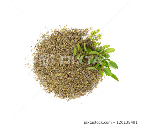 Dry thyme isolated, dried marjoram, oregano pile, ground crushed thyme seasoning, thyme leaves 120139491
