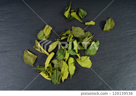 Thai lime dried leaves, makrut lime or Citrus hystrix leaf pile, kaffir lime dry sprouts, Southeast Asia spices Thai lime dried leaves, makrut lime or Citrus hystrix leaf pile, kaffir lime dry sprouts, Southeast Asia spices 120139536