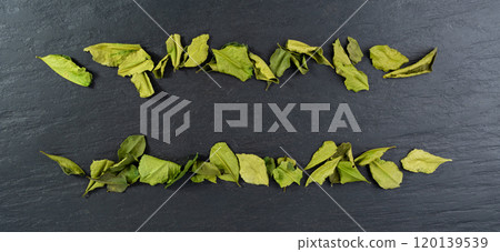 Thai lime dried leaves, makrut lime or Citrus hystrix leaf pile, kaffir lime dry sprouts, Southeast Asia spices Thai lime dried leaves, makrut lime or Citrus hystrix leaf pile, kaffir lime dry sprouts, Southeast Asia spices 120139539