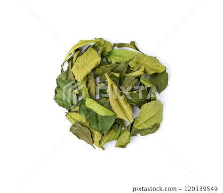 Thai lime dried leaves isolated, makrut lime or Citrus hystrix leaf pile, kaffir lime dry sprouts, Asia spices Thai lime dried leaves isolated, makrut lime or Citrus hystrix leaf pile, kaffir lime dry sprouts, Asia spices 120139549