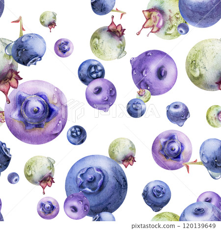 Blueberry blackberry, hand drawn in watercolor, group of flying ripe forest berry with drops, blue and purple. Seamless isolated pattern illustration. Restaurant, cafe menu, wedding, farmers market 120139649