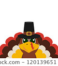 Turkey funny thanksgiving on white background  120139651