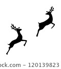 Reindeer silhouette isolated on white background  120139823