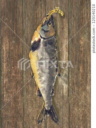 木牆上掛著新鮮鮭魚的手繪水彩插圖 120140218