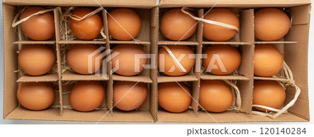 Open egg box with brown eggs. Fresh organic chicken eggs in carton pack container closeup 120140284