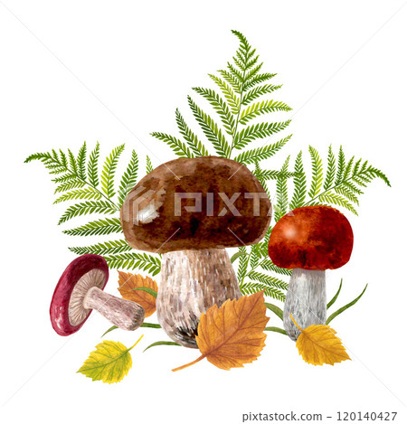 Mushrooms and leaves watercolor composition 120140427