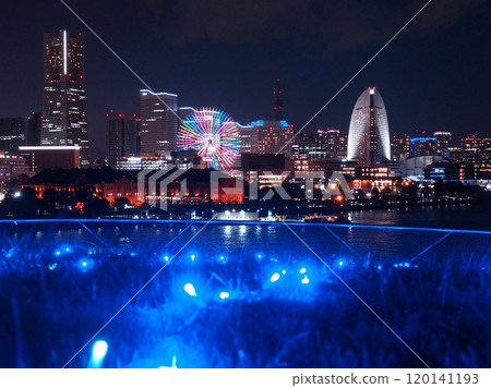 Minato Mirai night view and illuminations in winter 120141193