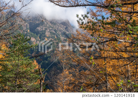 秋天Kamikochi 120141918