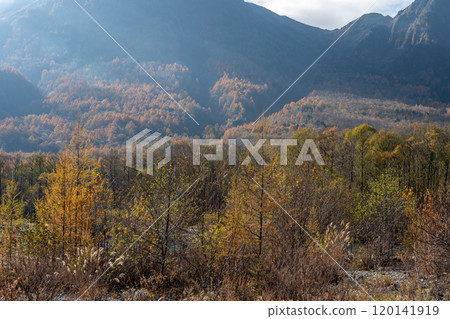 秋天Kamikochi 120141919