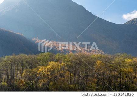 秋天Kamikochi 120141920