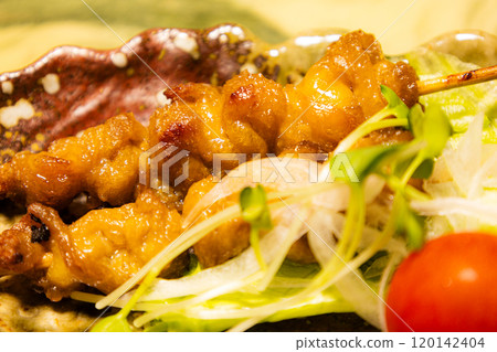 Homemade Yakitori 120142404