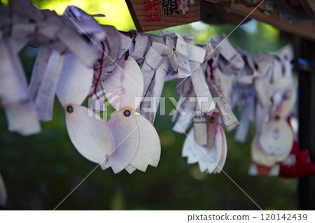 Fortune-telling slips from Shichisha Shrine [Traditional image] 120142439