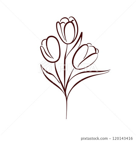 Tulip flower in simple line art style, ideal for spring theme, botanical illustration, floral decor and minimalist design project. 120143416
