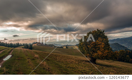 Serene mountain landscape with Lone Tree Under Dramatic Sky Serene mountain landscape with Lone Tree Under Dramatic Sky 120143677