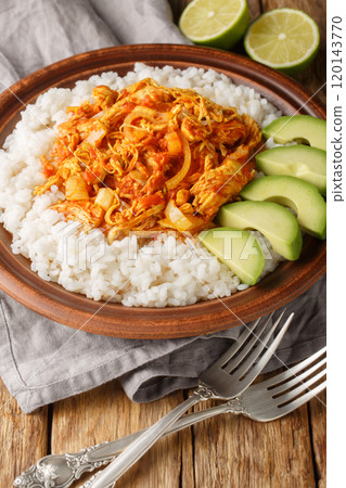 Chicken Tinga shredded and cooked with onion, garlic, tomatoes and chipotle peppers served with rice and avocado closeup in plate. Vertical 120143770